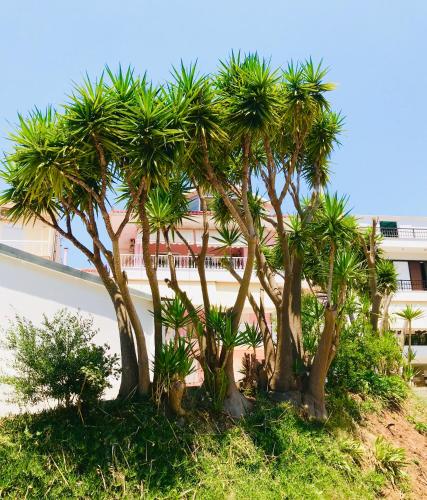 Cozy Studio Preveza Marina