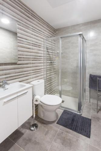 a bathroom with a toilet and a shower and a sink at Apartamentos LA CATEDRAL 1ºA in Logroño