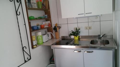 Η κουζίνα ή μικρή κουζίνα στο Apartment Sylvia