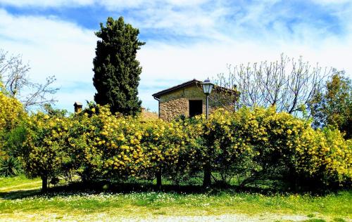 Κήπος έξω από το la cana dolce