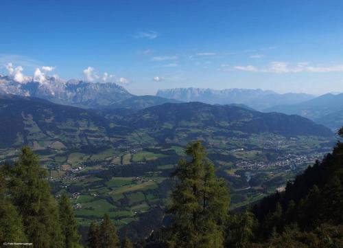a view of a valley with trees and mountains at Biobergbauernhof Bergzeit Apartment in Goldegg in Goldegg