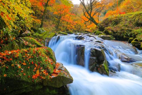 a waterfall in the woods with autumn leaves at APA Hotel Fukushima Ekimae in Fukushima