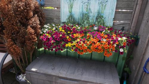 a bunch of colorful flowers in a flower box at Amsterdam Roof Terrace B&B in Amsterdam
