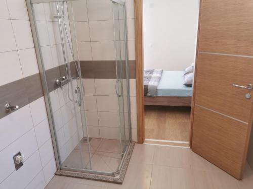 a shower with a glass door in a bathroom at Beachfront House Robert with Pool in Cesarica