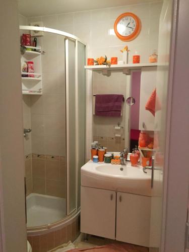 y baño con lavabo y ducha. en Luxury Apartman Porat, en Porat