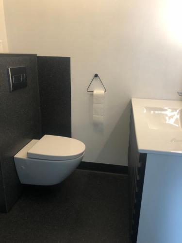 La salle de bains est pourvue de toilettes blanches et d'un lavabo. dans l'établissement A pearl in the center of the center of Thorhavn, à Tórshavn