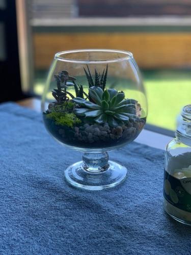 a glass bowl with a plant in it on a table at Air Loft Apartment in Kyiv