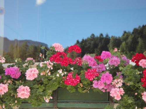Paesaggio naturale nelle vicinanze dell'hotel