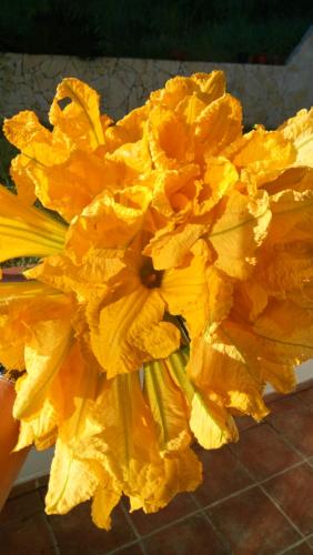 a large yellow flower sitting on a tile floor at Chambres d'hôtes Les Iris in Sospel