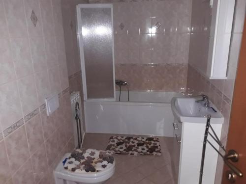 La salle de bains est pourvue de toilettes, d'une baignoire et d'un lavabo. dans l'établissement Casa Francesca, à Comăneşti