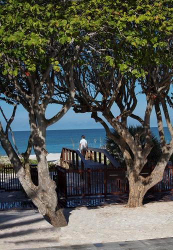 a man standing on a bench next to some trees at Zota Beach Resort in Longboat Key