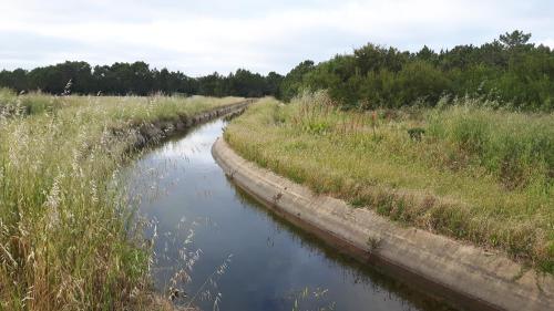 ゲストハウスの近くで見られる自然の景観