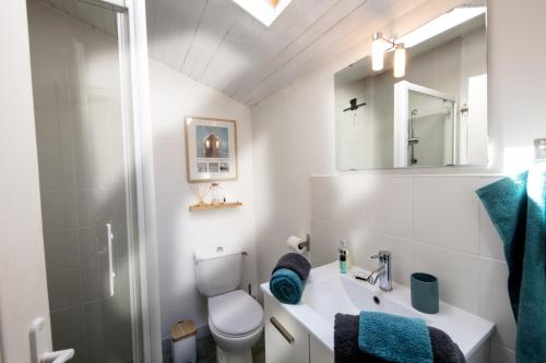 ein Badezimmer mit einem Waschbecken, einem WC und einem Spiegel in der Unterkunft La Venelle de Jéricho in La Rochelle