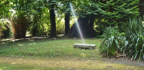 a garden with a water sprinkler in a park at Cosy Er Lann Gîte Cèdre in Val Couesnon