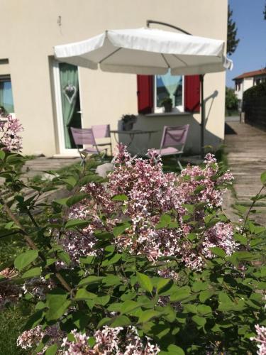 Bed & Breakfast Canova – Billeder 4