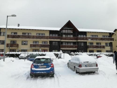 two cars parked in a parking lot covered in snow at Apartman s terasou in Oščadnica