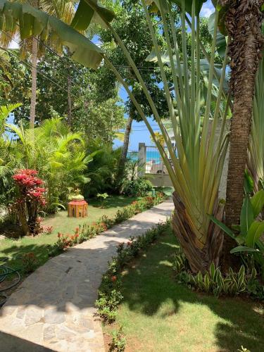a garden with a palm tree and a pathway at Beach Hotel Casa Nina in Las Terrenas