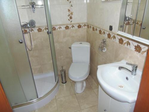 a bathroom with a toilet and a shower and a sink at Majowy Domek in Posada Górna