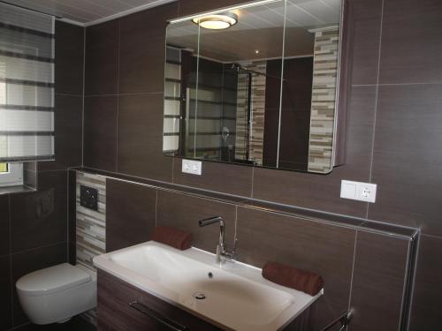 W łazience znajduje się umywalka, toaleta i lustro. w obiekcie SC Apartment - Nürnberg Messe / Fränkisches Seenland w mieście Schwabach