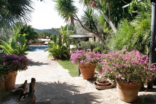 圣米克尔德巴兰Hotel Rural Cas Pla的花园内种植了盆栽植物和花卉,毗邻游泳池