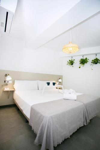 MONKÓ - COCO & TROPYCAL APARTMENT o
