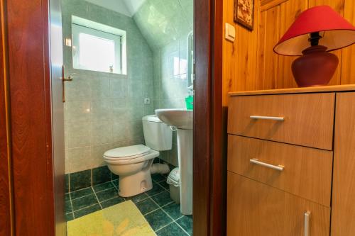 a small bathroom with a toilet and a window at Guest house Holiday in Žabljak