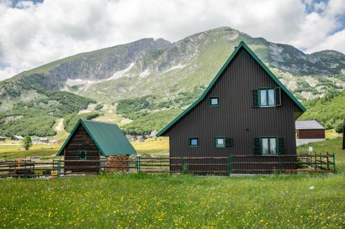 a house in a field with mountains in the background at Guest house Holiday in Žabljak