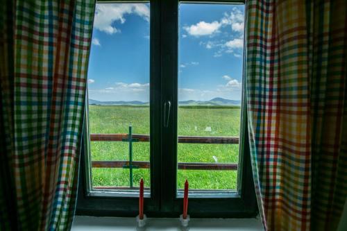 a window with a view of a field of grass at Guest house Holiday in Žabljak
