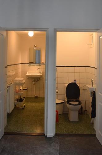 a bathroom with a toilet and a sink at Villa Conti in Dordrecht