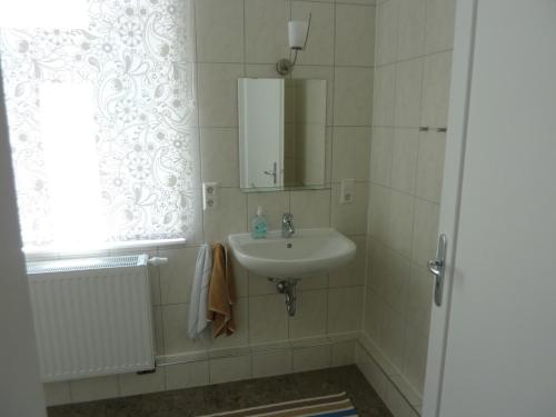 ein Bad mit einem Waschbecken und einem Spiegel in der Unterkunft Apartment Villa Elisa in Bad Kreuznach