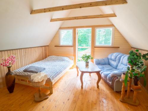 Nature Guest House في فوسو: غرفة معيشة مع أريكة زرقاء وطاولة