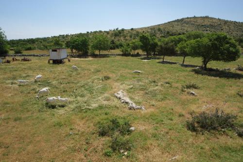 Φυσικό τοπίο κοντά σε αυτό το διαμέρισμα