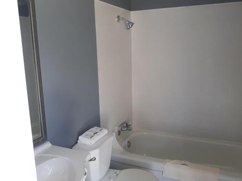 a bathroom with a toilet and a sink and a tub at Fuller Lake Chemainus Motel in Chemainus