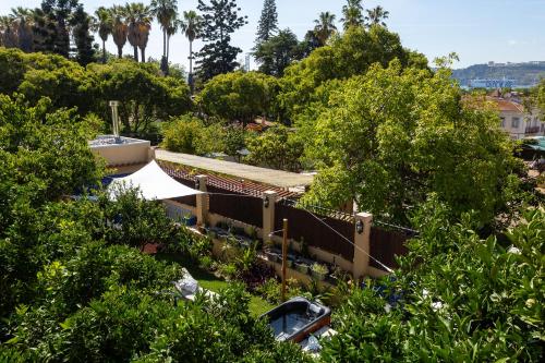 an overhead view of a garden with trees at Geronimo Guest House Belém in Lisbon