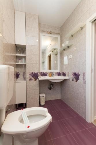 a bathroom with a white toilet and a sink at Apartmaji Sobe Zvezda in Pobegi