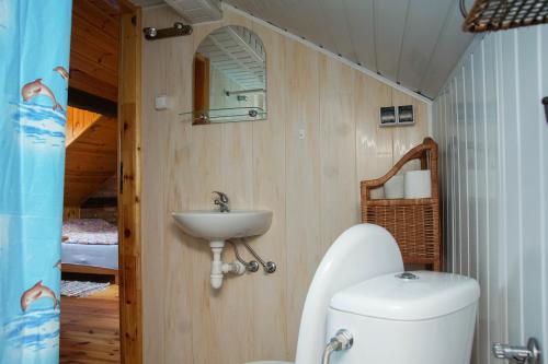 Een badkamer bij Ustronne siedlisko