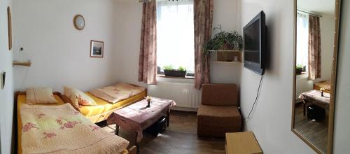 a living room with a bed and a window at Penzion Bližanovy in Plánice