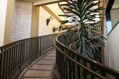 a staircase in a building with a plant at Café Palace Hotel in Três Pontas