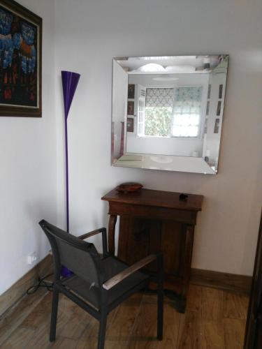 una silla y un espejo en una habitación en CHARMANT STUDIO DECOR NATUREL, en Baie-Mahault