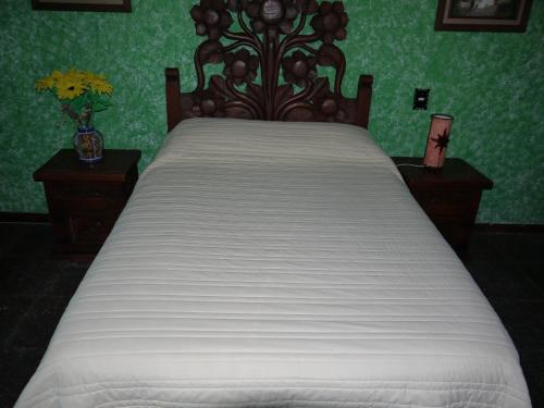 a bed in a bedroom with green walls at Hotel No Que No in Tepexi del Río