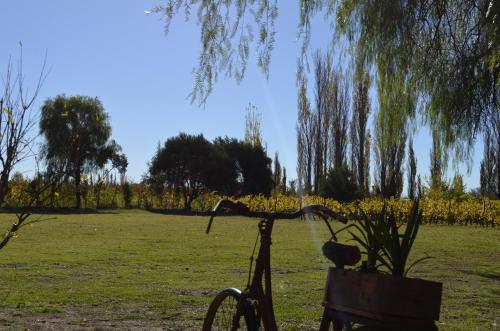 a bike parked next to a bench in a park at Entre Acequias in General Alvear