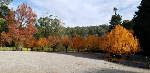 a parking lot with trees in autumn colors at Panorama Retreat & Resort in Kalorama