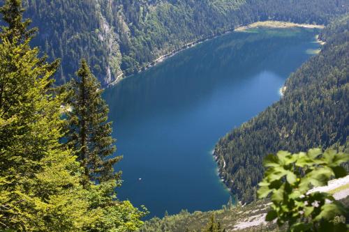 a view of a lake in the middle of a forest at Sporthotel Dachstein West in Annaberg im Lammertal