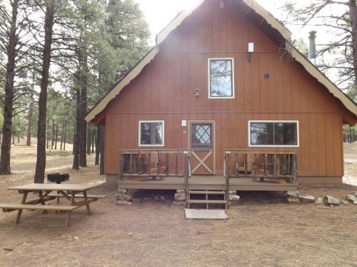 a large wooden cabin with a picnic table in front of it at Arizona Mountain Inn & Cabins in Flagstaff