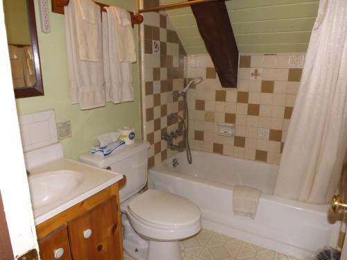 a bathroom with a toilet and a tub and a sink at Arizona Mountain Inn & Cabins in Flagstaff