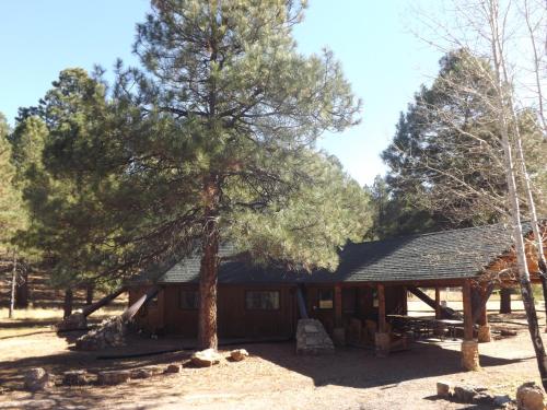 a cabin with a tree in front of it at Arizona Mountain Inn & Cabins in Flagstaff