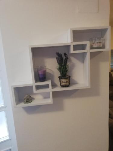 a shelf on a wall with a plant on it at Guest House Valentino in Motovun