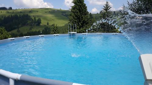 a swimming pool with a water fountain at Eco Resort Nad Karpatamy in Hrobyshche