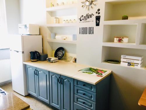 a kitchen with blue cabinets and white shelves at Apartament Górski 90m2 blisko centrum i wyciagu in Szklarska Poręba
