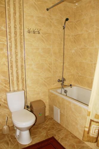 a bathroom with a toilet and a bath tub at Kvasova Voda in Polyana